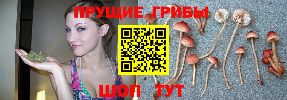 Галлюциногенные грибы мицелий  Вход с VPN  Галлюциногенные грибы Magic Shrooms  Гусь-Хрустальный 